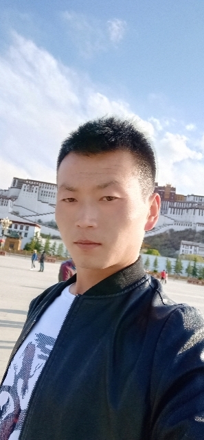 阳光下的小草的第二张照片--甘肃王婆说媒